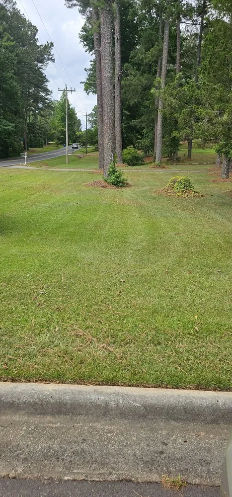 Trusted residential landscaping in College Park, GA - Red's Landscaping