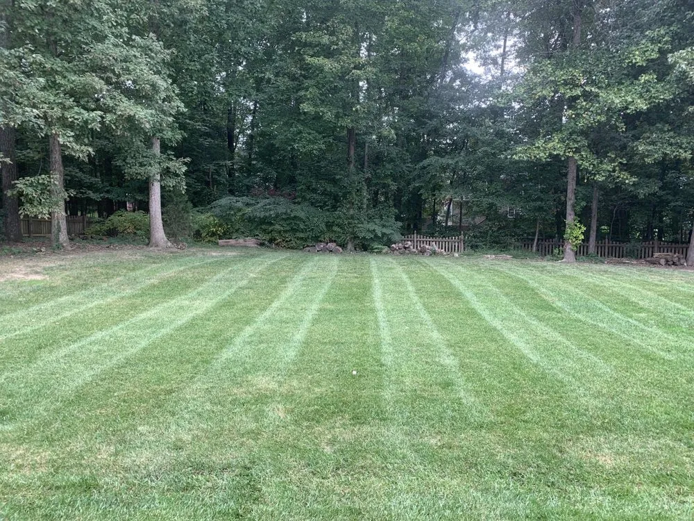 Top-rated yard maintenance in Rock Hill, SC - Red's Lawn & Landscape