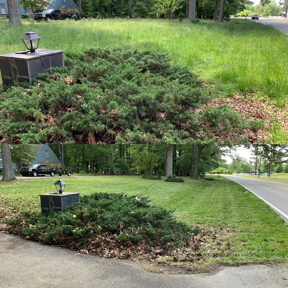 Custom residential landscaping in Rock Hill, SC by Red's Lawn & Landscape