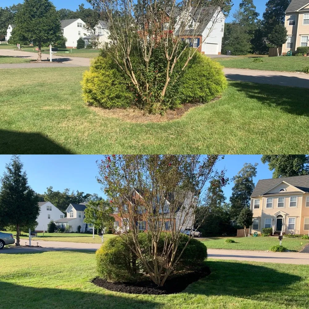 Top-rated lawn care service in Rock Hill, SC - Red's Lawn & Landscape