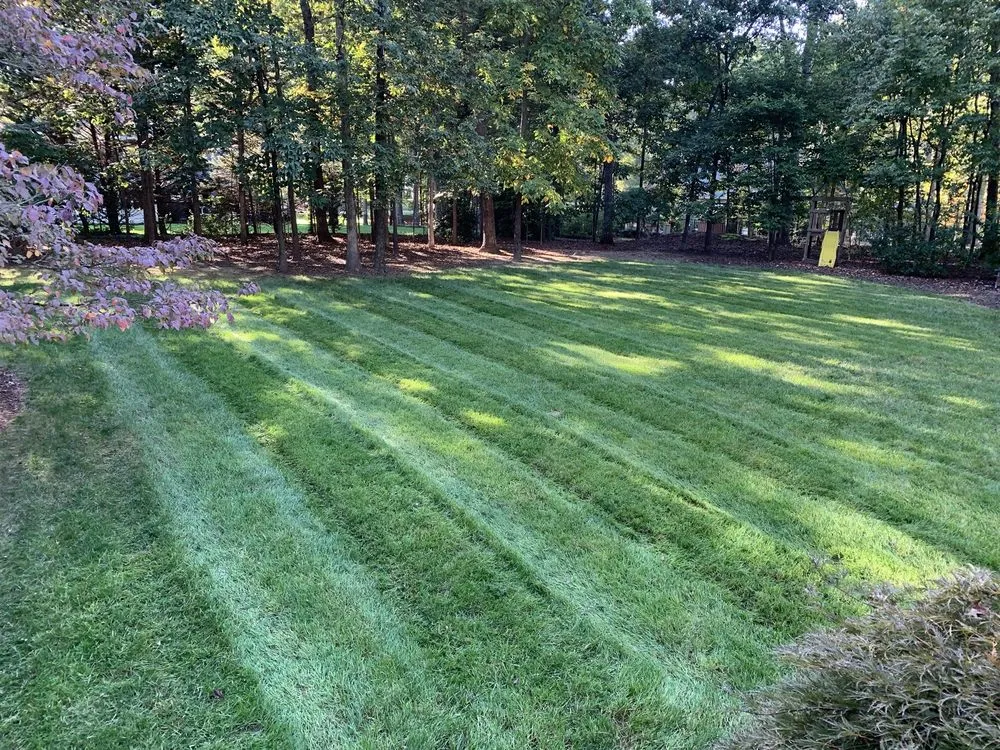 Top-rated lawn mowing service for outdoor upgrades in Rock Hill, SC by Red's Lawn & Landscape