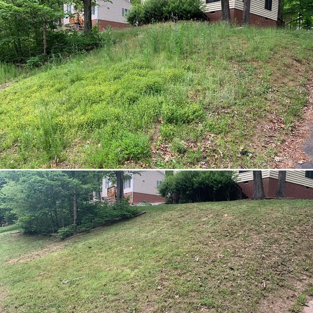 Custom yard cleanup service for beautiful yards across Rock Hill, SC - Red's Lawn & Landscape