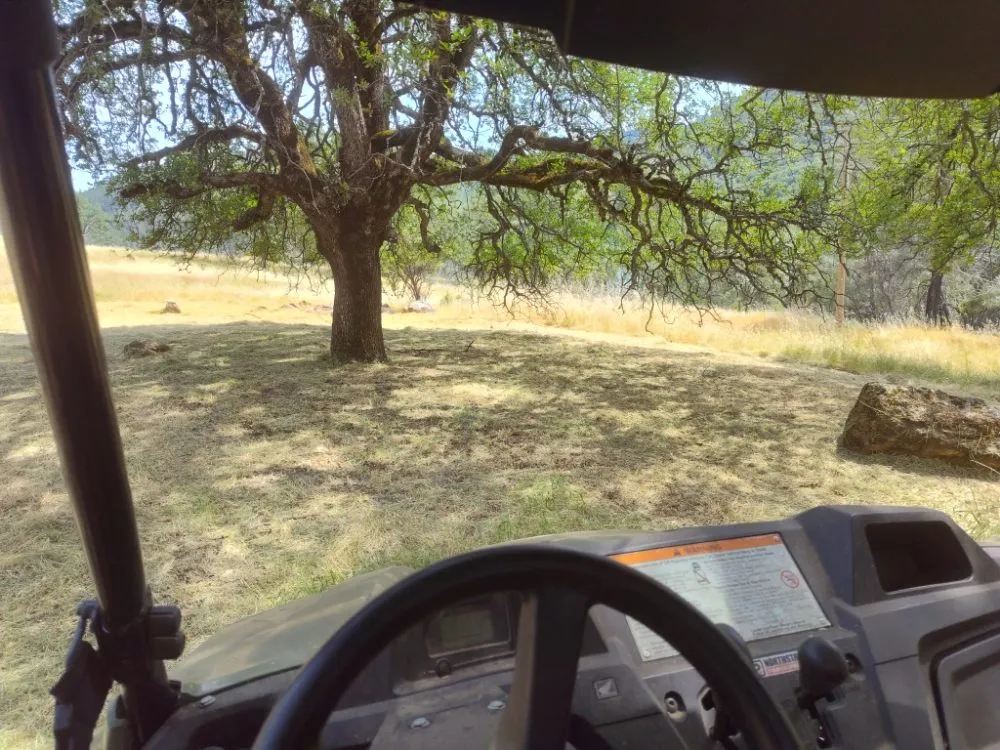 Reliable outdoor landscaping for year-round maintenance across Live Oak, CA - Reds Lawn and Tree Services