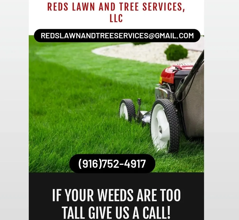 Reliable residential landscaping in Live Oak, CA by Reds Lawn and Tree Services
