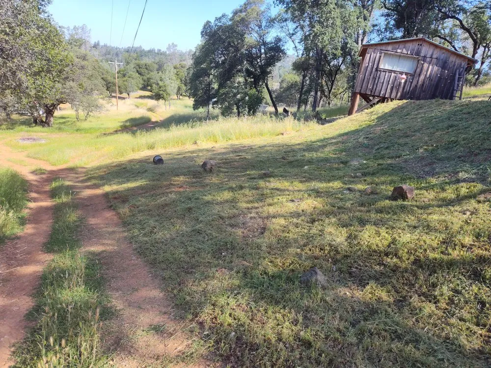 Affordable yard cleanup service in Live Oak, CA - Reds Lawn and Tree Services