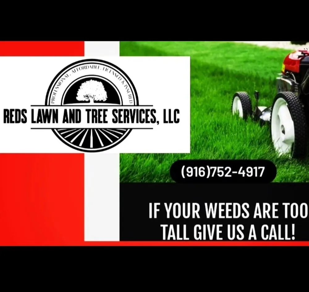 Expert landscape design for residential properties in Live Oak, CA by Reds Lawn and Tree Services