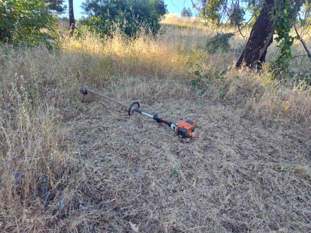 Expert yard cleanup service in Live Oak, CA by Reds Lawn and Tree Services