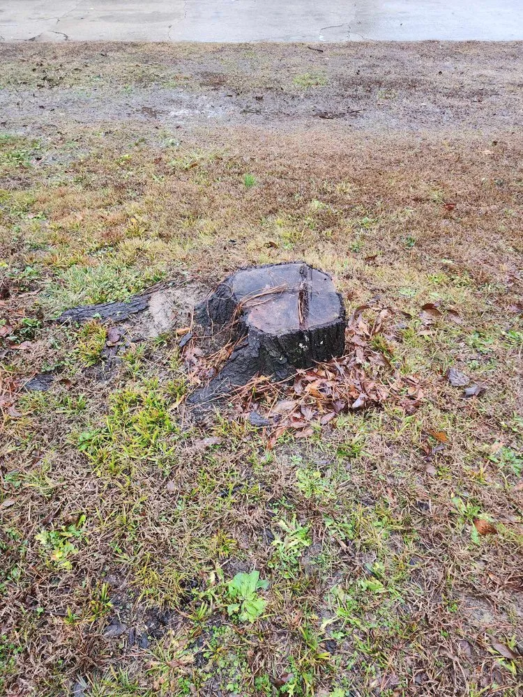 Top-rated lawn mowing service in Moulton, AL by Red's Lawn Care & Fence Repair