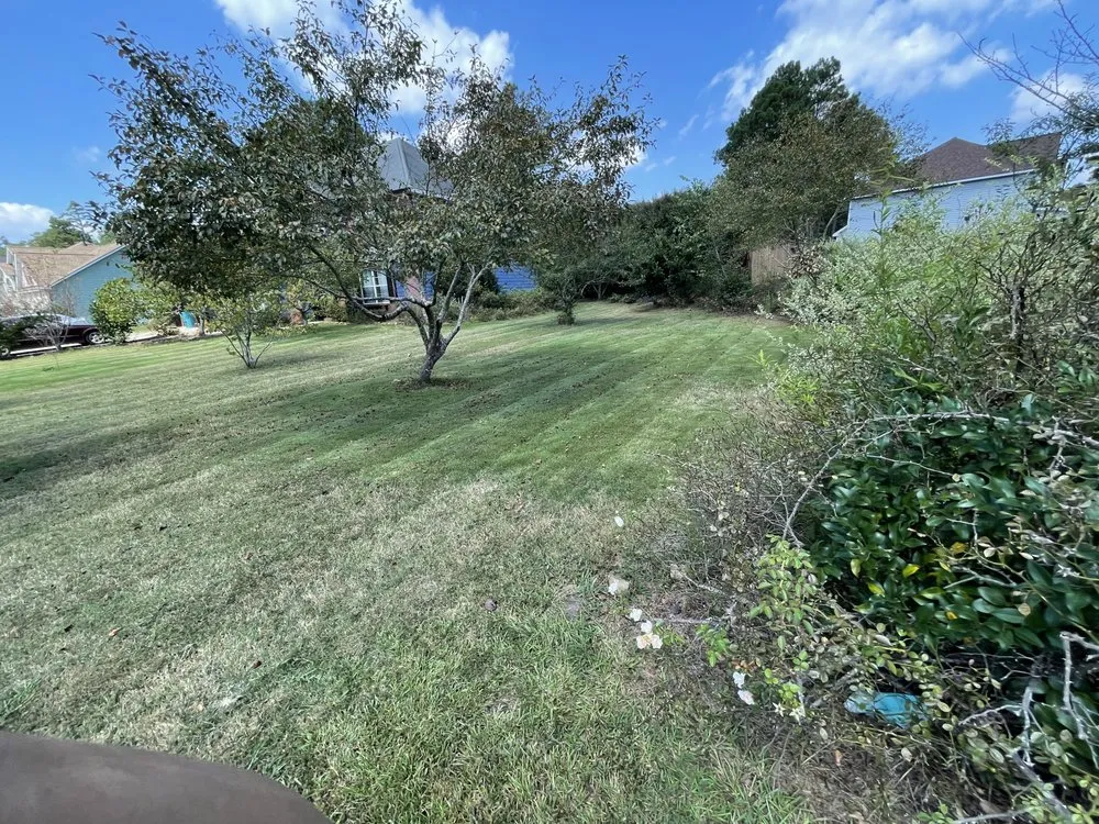 Top-rated lawn mowing service experts serving Hampton, GA - Red's Lawn Care