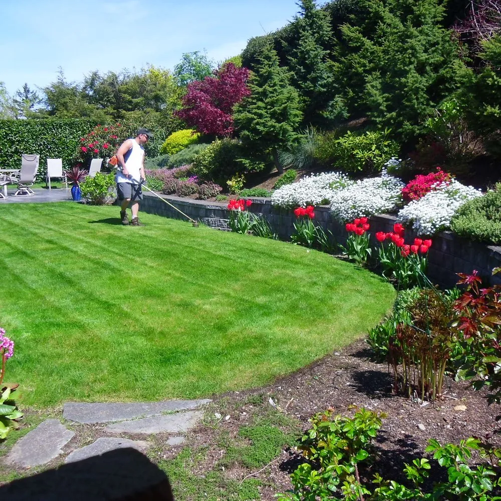 Professional yard maintenance experts serving Sedro-Woolley, WA - Reds Lawn Care