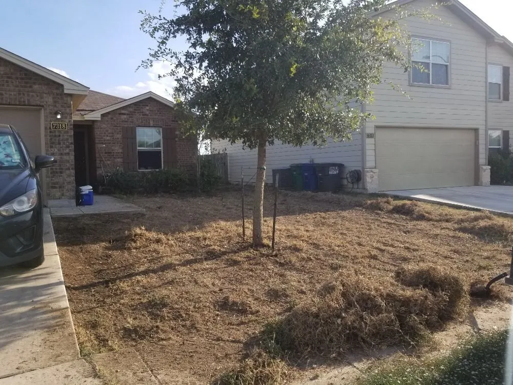 Reliable lawn care service experts serving San Antonio, TX - Reds Lawn Care Service