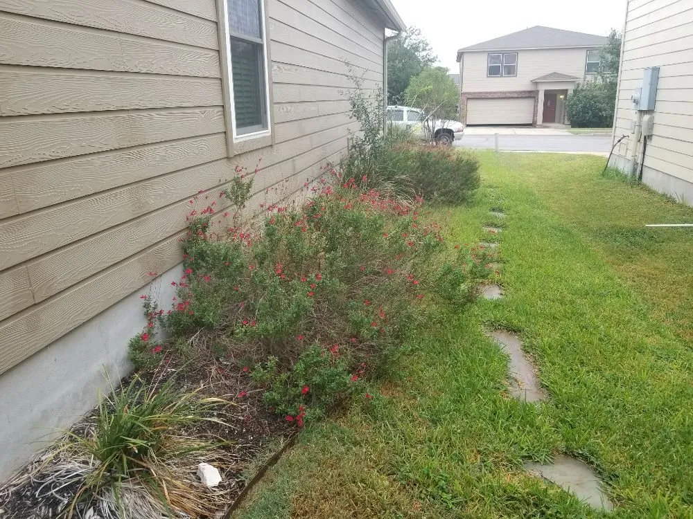 Local landscaping services for beautiful yards across San Antonio, TX - Reds Lawn Care Service