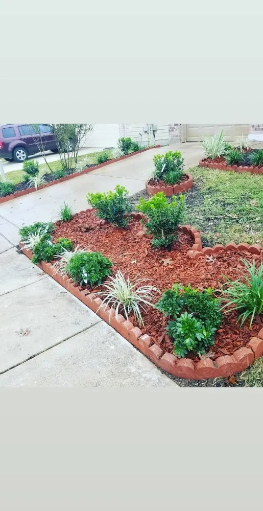 Top-rated yard cleanup service in San Antonio, TX - Reds Lawn Care Service