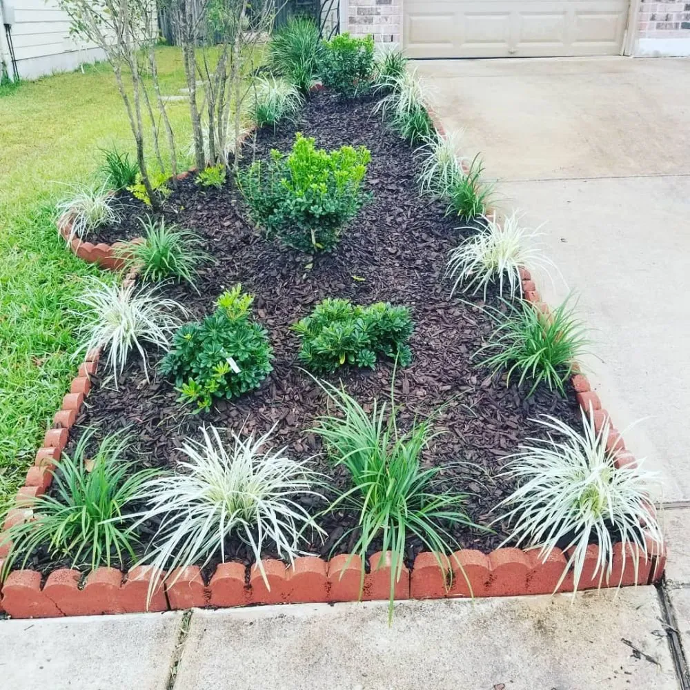 Professional landscape design for beautiful yards across San Antonio, TX - Reds Lawn Care Service