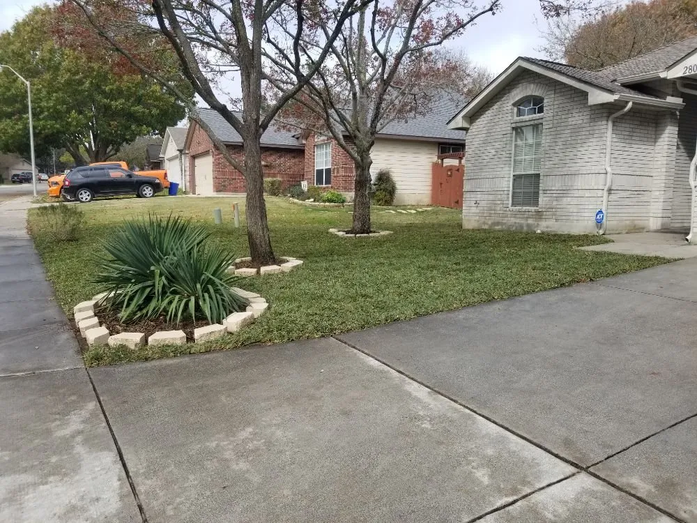 Reliable garden landscaping for year-round maintenance in San Antonio, TX by Reds Lawn Care Service