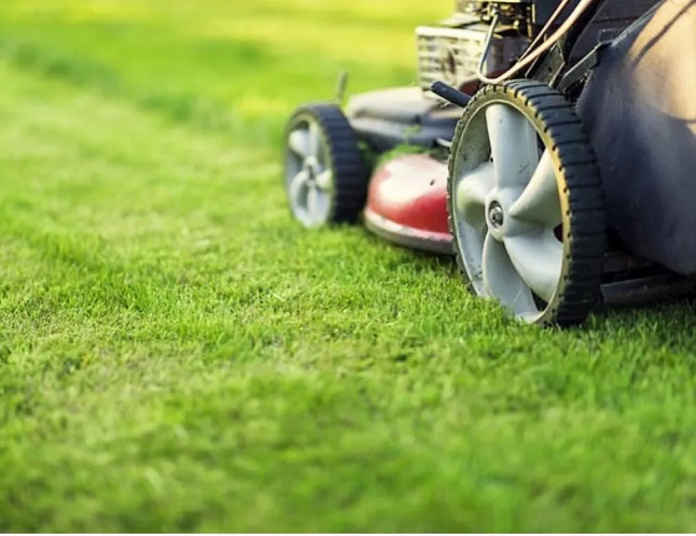 Custom residential landscaping near you across Philadelphia, PA - Reds Universal Pros