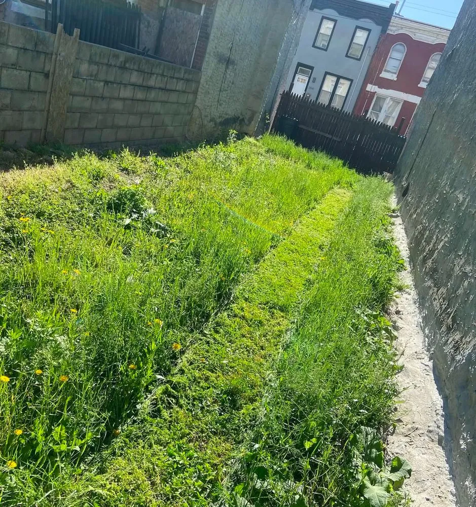 Top-rated yard maintenance for residential properties across Philadelphia, PA - Reds Universal Pros