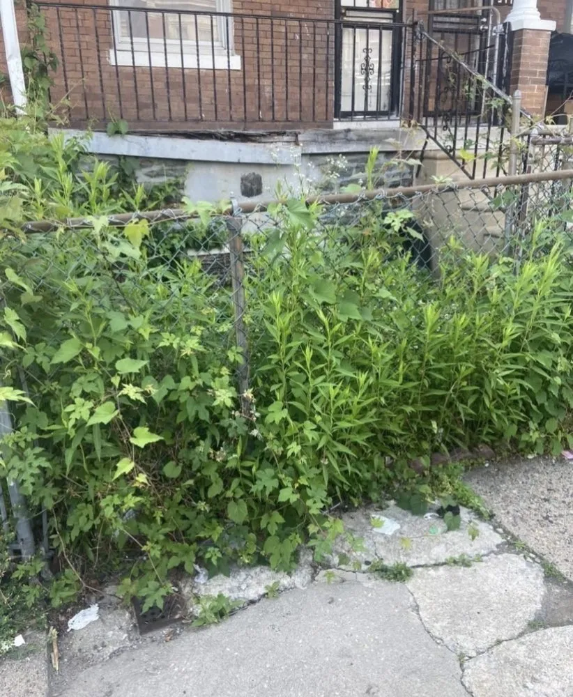 Professional lawn care service in Philadelphia, PA by Reds Universal Pros