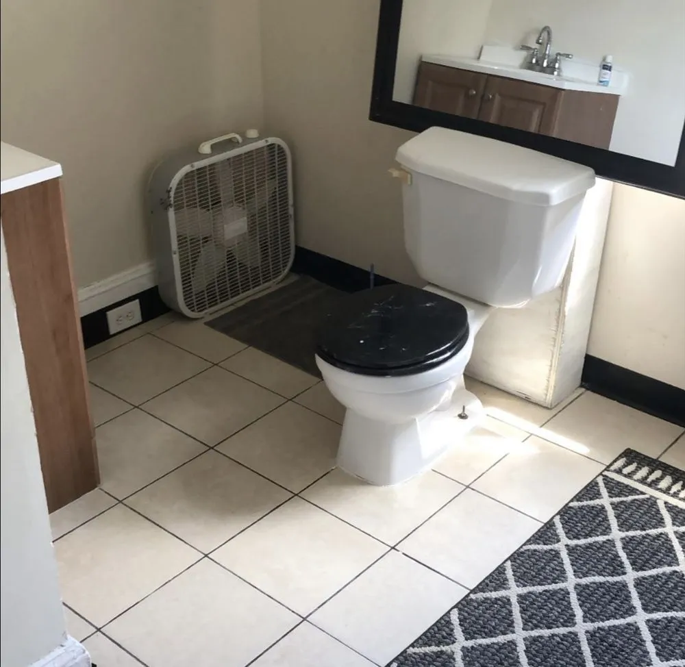 Expert landscaping services in Philadelphia, PA by Reds Universal Pros