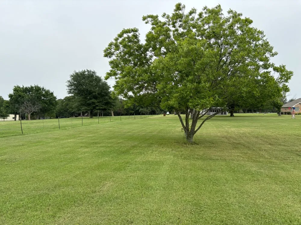 Local yard cleanup service in Terrell, TX by Redstripe Lawn Care