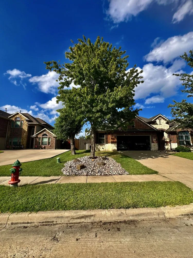 Expert lawn care service near you in Terrell, TX by Redstripe Lawn Care