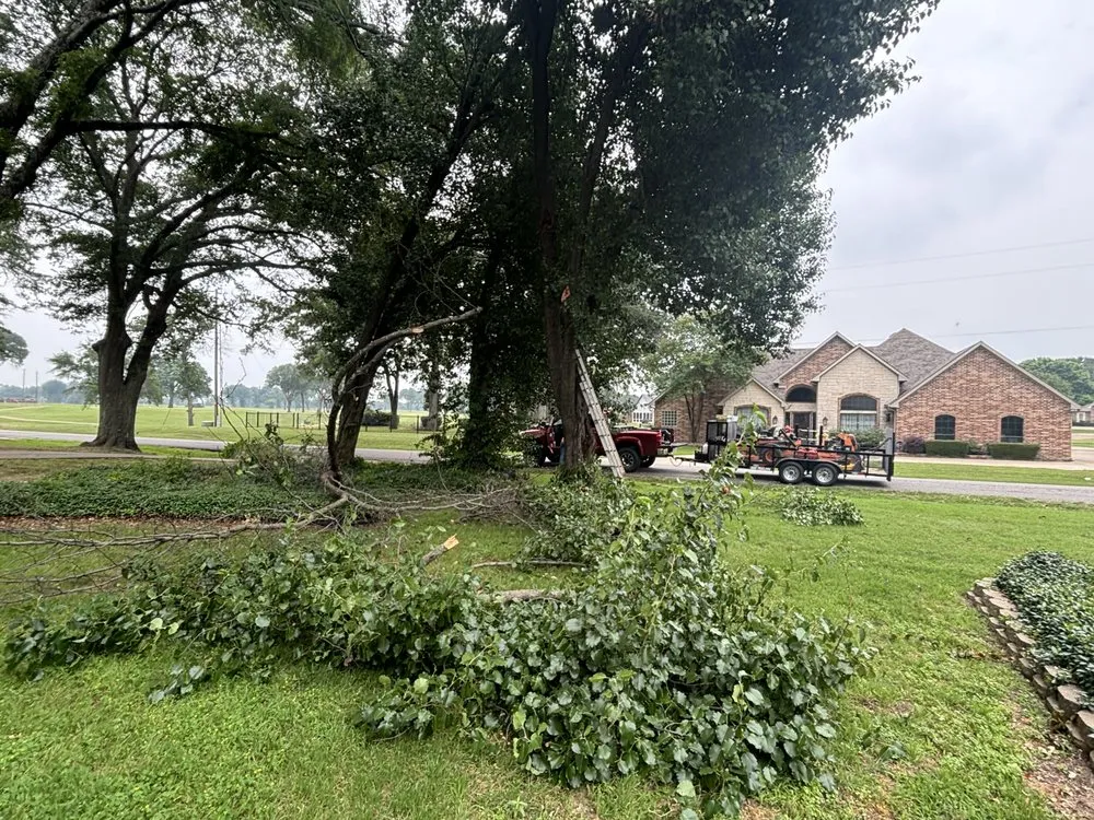 Trusted residential landscaping for beautiful yards in Terrell, TX by Redstripe Lawn Care