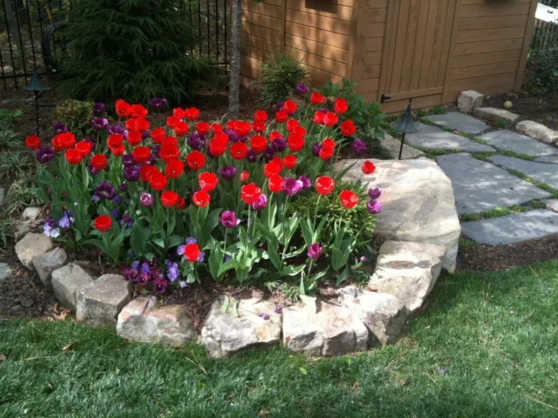 Local residential landscaping experts serving Fort Mill, SC - Redtree Landscape Design