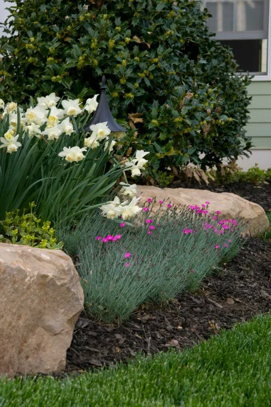 Trusted landscape design in Fort Mill, SC - Redtree Landscape Design