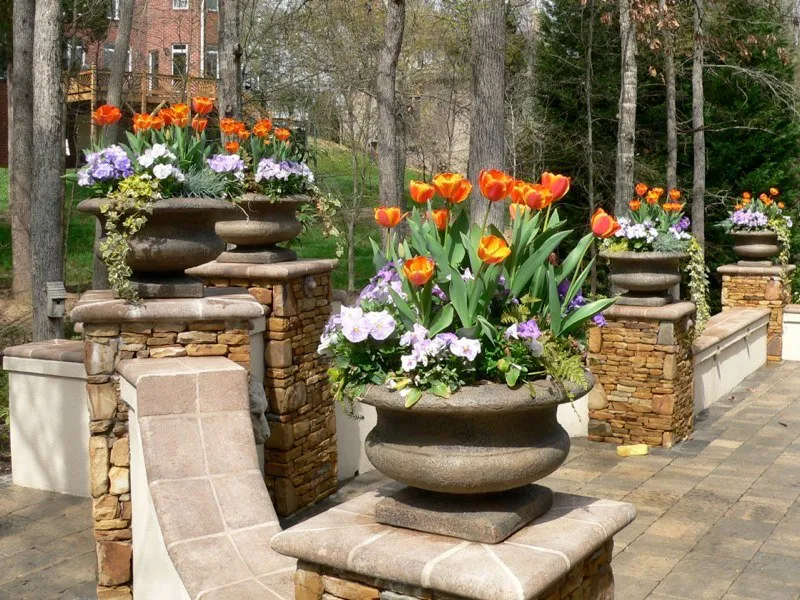 Reliable yard maintenance in Fort Mill, SC by Redtree Landscape Design