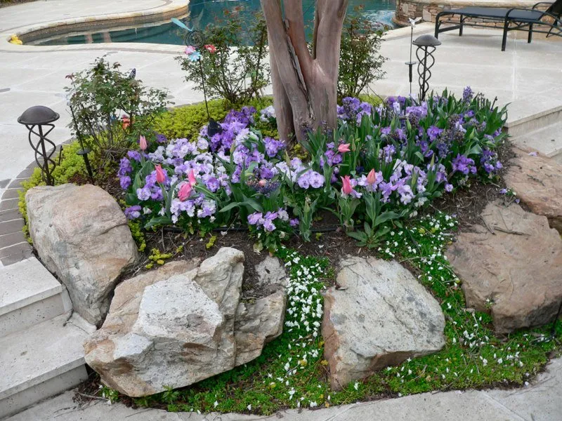 Affordable outdoor landscaping experts serving Fort Mill, SC - Redtree Landscape Design