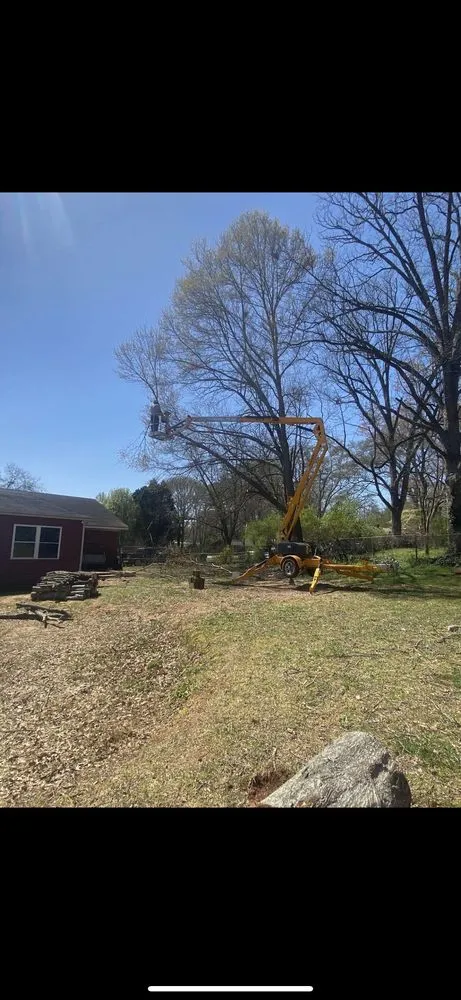 Local yard maintenance experts serving Canon, GA - Redwing Lawn And Tree Specialist