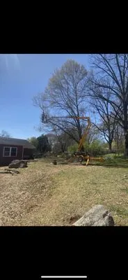 Redwing Lawn And Tree Specialist Logo
