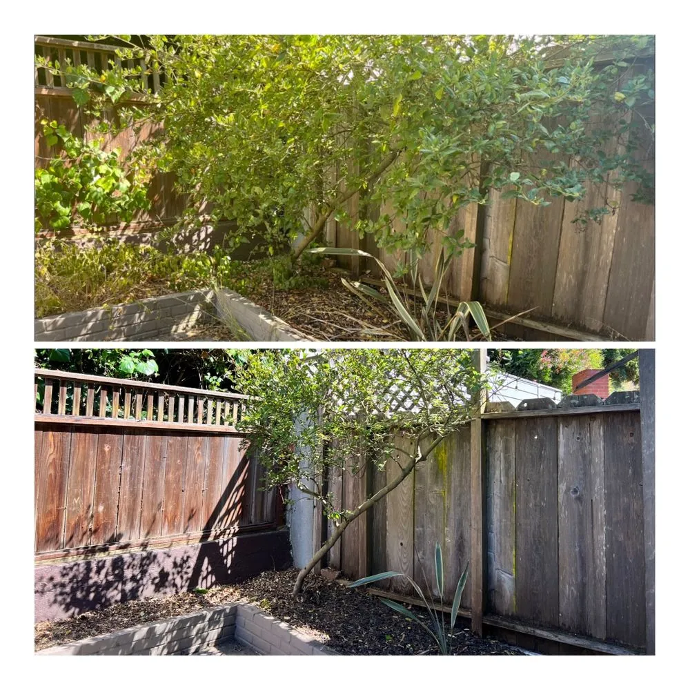 Custom garden landscaping for homes in Petaluma, CA by Redwood Coast Builds & Restores