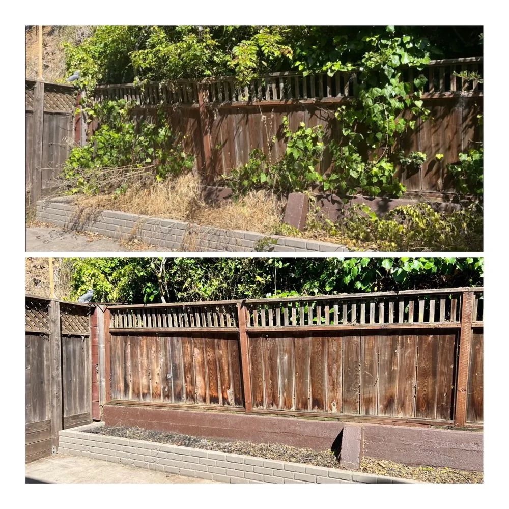 Trusted landscape installation in Petaluma, CA - Redwood Coast Builds & Restores