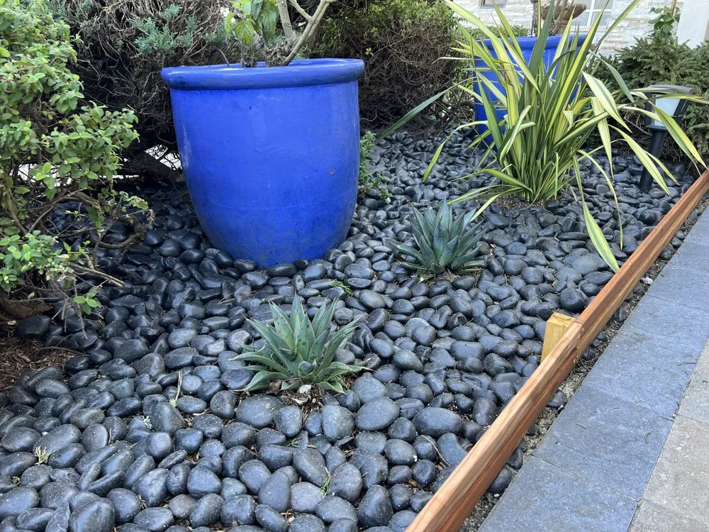 Reliable lawn care service experts serving Petaluma, CA - Redwood Coast Builds & Restores