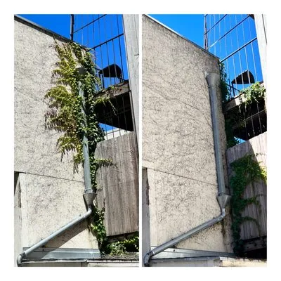 Redwood Coast Builds & Restores Logo