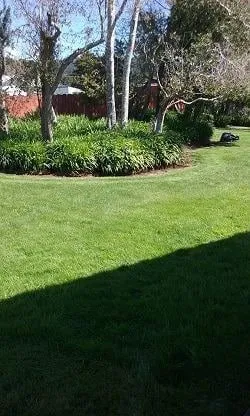 Top-rated lawn care service in Crescent City, CA - Redwood Coast Landscape and Maintenance