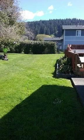 Top-rated landscape design in Crescent City, CA by Redwood Coast Landscape and Maintenance