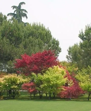 Expert landscape installation for homes across Crescent City, CA - Redwood Coast Landscape and Maintenance