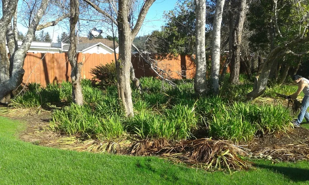 Custom lawn care service in Crescent City, CA - Redwood Coast Landscape and Maintenance