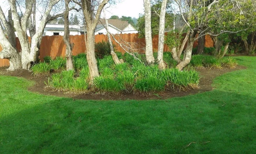 Top-rated landscape installation experts serving Crescent City, CA - Redwood Coast Landscape and Maintenance