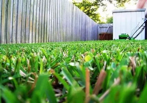 Redwood Coast Landscape and Maintenance