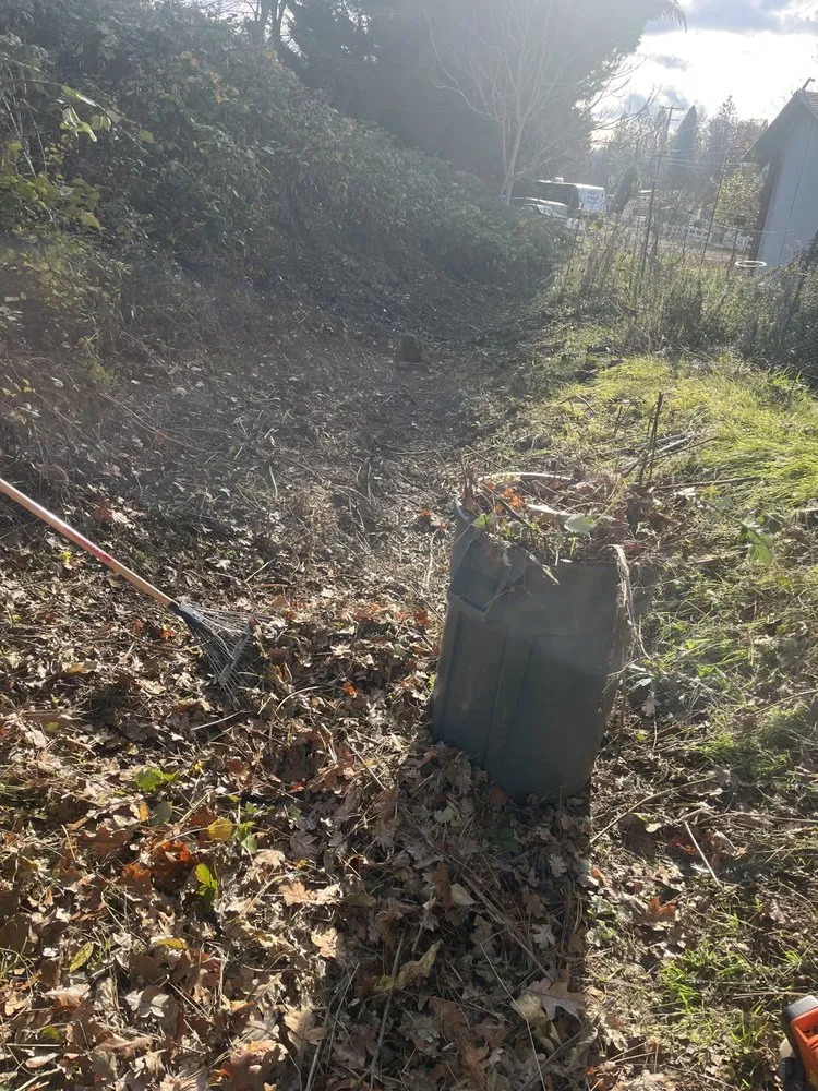 Professional yard cleanup service for homes in Medford, OR by Redwood Contracting