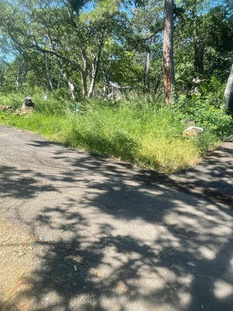 Professional garden landscaping in Medford, OR - Redwood Contracting