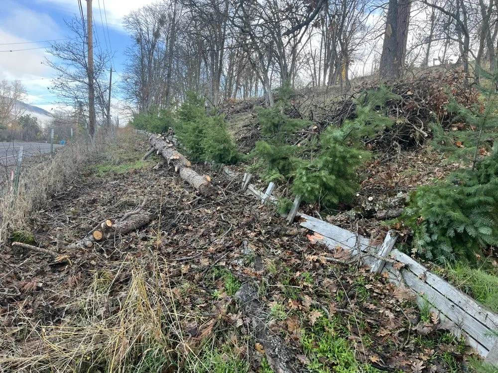 Reliable residential landscaping in Medford, OR by Redwood Contracting