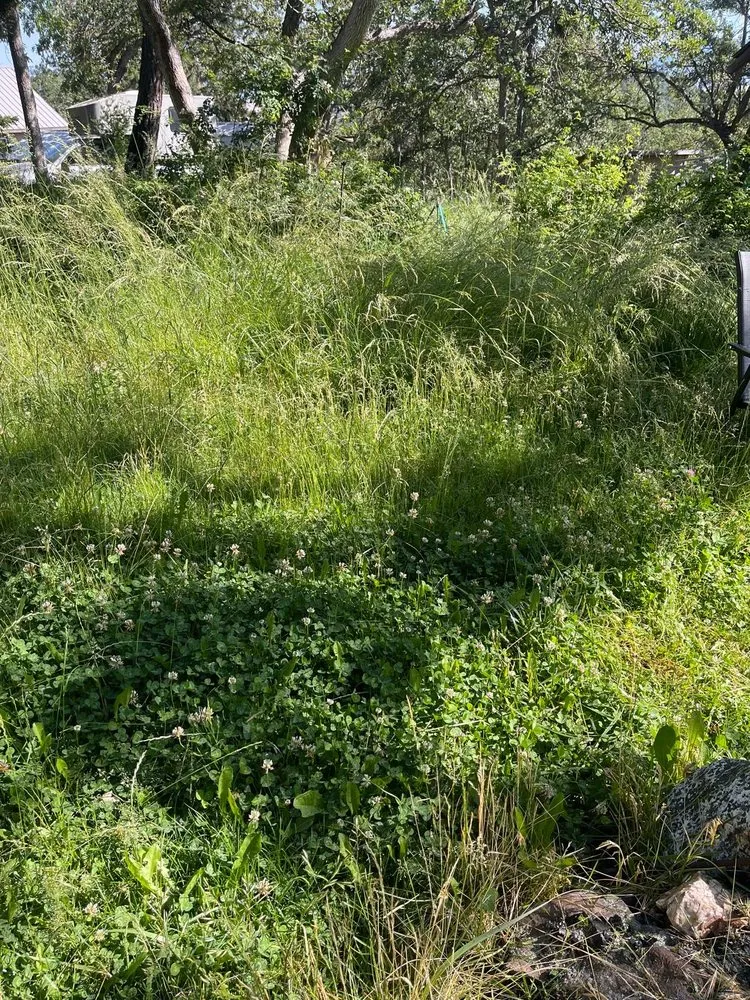 Affordable landscape design in Medford, OR - Redwood Contracting