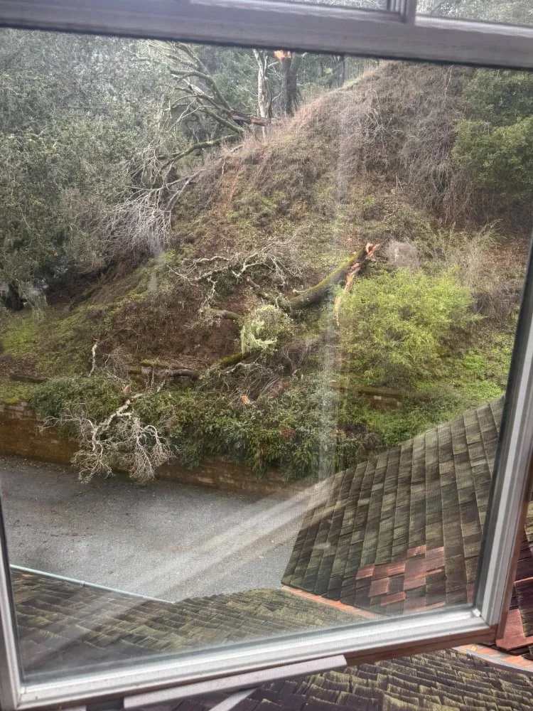 Reliable landscape design experts serving Redwood City, CA - Redwood Gardening And Landscape