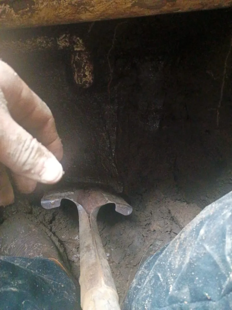 Top-rated lawn care service in Redwood City, CA - Redwood Gardening And Landscape