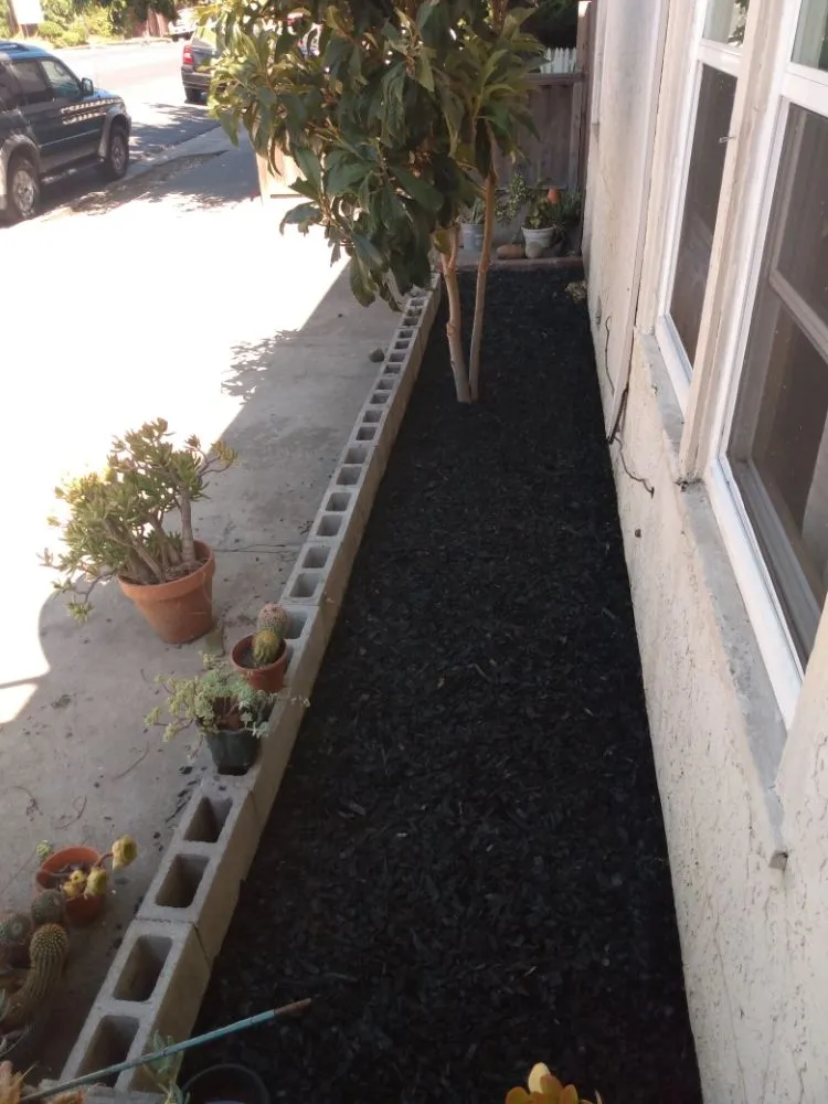 Reliable lawn care service experts serving Redwood City, CA - Redwood Gardening And Landscape