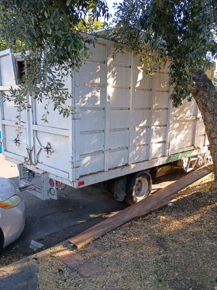 Top-rated yard cleanup service experts serving Redwood City, CA - Redwood Gardening And Landscape